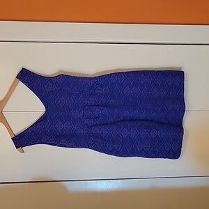 Anthropologie Maeve Violet Fit and Flare Dress